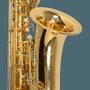 Imagem de Saxofone Baritono Michael Wsbm35N Laqueado