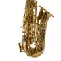 Imagem de Saxofone Sax Alto Laqueado Mib Dourado SGFT-6430 Shelter