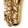 Imagem de Saxofone sax alto michael wasm30n