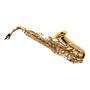 Imagem de Saxofone sax alto michael wasm30n