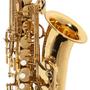 Imagem de Saxofone sax alto michael wasm30n