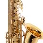 Imagem de Saxofone sax alto michael wasm30n