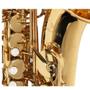 Imagem de Saxofone Sax Alto Michael Wasm30N
