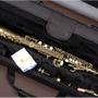 Imagem de Saxofone Soprano Envelhecido + Estojo Luxo Sp502vg Eagle