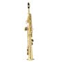 Imagem de Saxofone Soprano Laqueado Tokai TSS200L