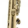 Imagem de Saxofone Soprano Reto Bb HST410L Laqueado  HARMONICS