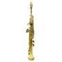 Imagem de Saxofone Soprano SS 200 Laqueado Dourado com Case New York