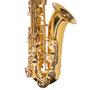 Imagem de Saxofone tenor dominante bb profissional dourado + semicase