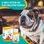 Imagem de Sbelt Dog Organnact 40ml - L Carnitina Cromo