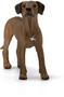 Imagem de SCHLEICH Farm World, Estatueta animal, Brinquedos de Fazenda para Meninos e Meninas de 3 a 8 anos, Rhodesian Ridgeback