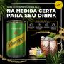 Imagem de Schweppes Ginger Ale Lata 220Ml (6 Latas)