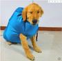 Imagem de Secador De Cachorro Pet Dog Secadora Banho Roupa Saco Dog Dr