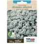 Imagem de Sementes Alyssum Tapete De Neve (Odorant) TOPSEED