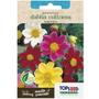 Imagem de Sementes de Dahlia Coltness (Sortida) TOPSEED