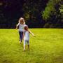 Imagem de Sementes de Grama para Jardim (Folha Fina) Blueline TOPSEED