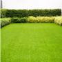 Imagem de Sementes de Grama para Jardim (Folha Fina) Blueline TOPSEED