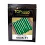 Imagem de Sementes De Pepino Japonês Híbrido Kouki Topseed Kouki 10g