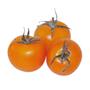 Imagem de Sementes de Tomate Cereja Laranja (2g) Blueline TOPSEED