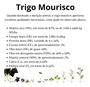 Imagem de Sementes de Trigo Mourisco p/ Plantio 10kg - TRIGO MOURISCO / SARRACENO