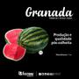 Imagem de Sementes melancia hibrida granada 1000 sementes