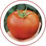 Imagem de Sementes Tomate Híbrido Coronel Seminis 1000 Sementes 