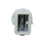 Imagem de Senson Plug Temperatura Renault Clio Peugeot 206 Citroen Xsara e Picasso