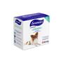 Imagem de Serenex Caninos Kit Difusor Com Refil
