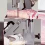 Imagem de Serra Para Cortar Carne com Osso 380V Trifásico Profissional 2,82M CAF