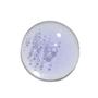 Imagem de Sérum Facial Dailus Mentos Booster Pro-Aging Grape 15ml