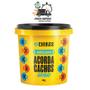 Imagem de Shampoo 300ml + Máscara 450g Acorda Cachos Chikas Low Poo