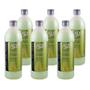 Imagem de Shampoo Alyne Salon Ervas Profissional Nutre E Fortalece Sem Parabenos 1 Litro (Kit com 6)