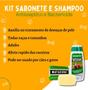 Imagem de Shampoo Antisséptico Matacura para Cães e Gatos 200ml