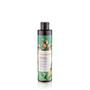 Shampoo Argan & Babosa De Benguela 240ml Imagem de Shampoo Argan & Babosa De Benguela 240ml