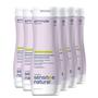 Imagem de Shampoo Attitude para Couro Cabeludo Sensível e Seco - 480ml (Pack c/6)