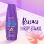 Imagem de Shampoo Aussie Miracle Moist com Abacate e Jojoba - 900ml (Kit com 4)
