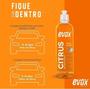 Imagem de Shampoo Automotivo Neutro Citrus 500ml Evox