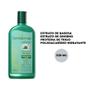 Imagem de Shampoo Babosa e Ginseng 320ml Normais a Secos Farmaervas