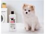 Imagem de Shampoo Cachorro e Gato Pele Sensível - Sanol Dog 500ml