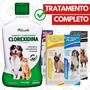 Imagem de Shampoo Clorexidina + 12 comp antipulga 7 a 15kg Controler