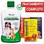 Imagem de Shampoo Clorexidina + 24 comp antipulga 31 a 60kg Vermitril