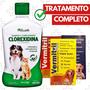 Imagem de Shampoo Clorexidina + 36 comp antipulga 31 a 60kg Vermitril