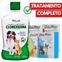 Imagem de Shampoo Clorexidina + 36 comp antipulga 7 a 15kg DogMax