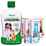 Imagem de Shampoo Clorexidina + 4 comp antipulga 16 a 30kg MaxProtect