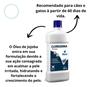 Imagem de Shampoo Clorexidina Dugs 500 Ml Antiqueda, Antisseborreico e Antisseptico
