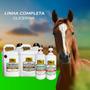 Imagem de Shampoo Com Glicerina Winner Horse - Para Peles Sensíveis