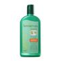 Imagem de Shampoo e Condicionador 320ml Jaborandi Argan Farmaervas
