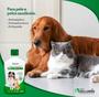 Imagem de Shampoo e Condicionador 5 em 1 Clorexidina Cachorros Gatos Antiqueda 500 ml Kelldrin