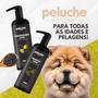 Imagem de Shampoo E Condicionador Cães E Gatos Pet Peluche Caviar