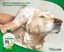 Imagem de Shampoo E Condicionador Clorexidina Kelldrin Para Cães E Gatos  Antisséptico 500 ml