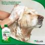 Imagem de Shampoo e Condicionador Clorexidina Para Cães e Gatos 500ml